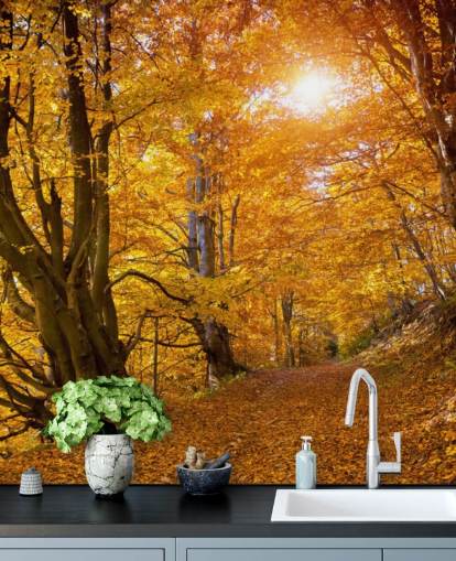 Foglie autunnali sugli alberi