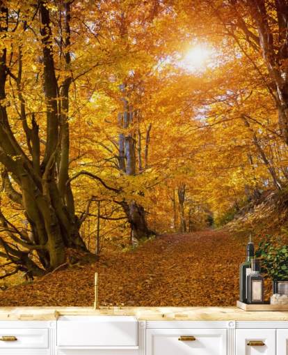 Autumn Leaves on Trees