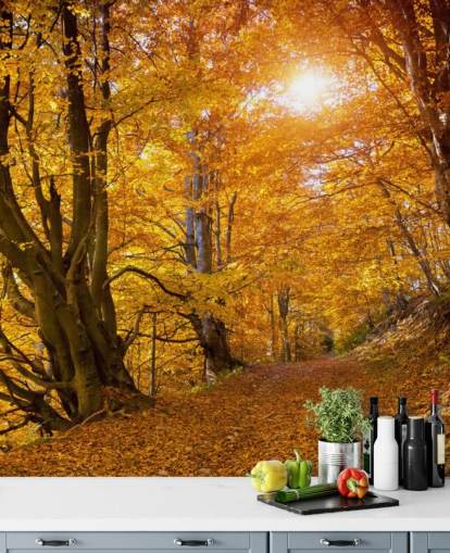 Herfstbladeren op bomen Herfstbladeren op bomen