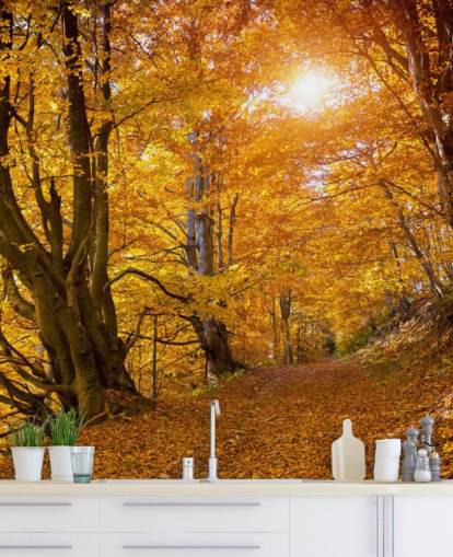 Hojas de otoño en los árboles