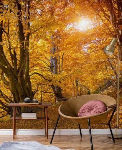 Autumn Leaves on Trees