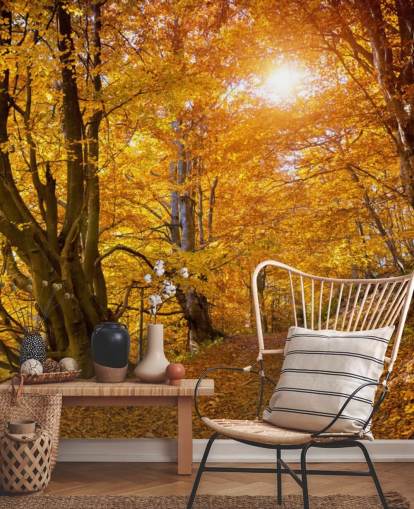 Feuilles d'automne sur les arbres