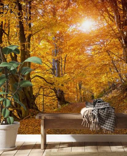 Herfstbladeren op bomen