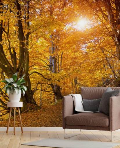 Herfstbladeren op bomen