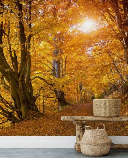 Foglie autunnali sugli alberi