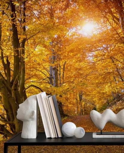 Autumn Leaves on Trees