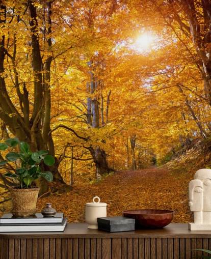 Hojas de otoño en los árboles Hojas de otoño en los árboles