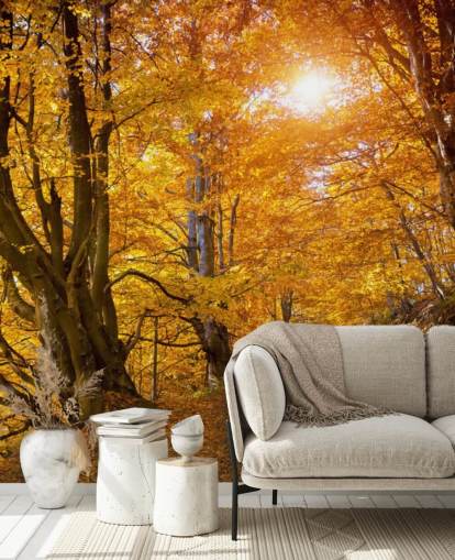 Feuilles d'automne sur les arbres