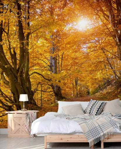 Herfstbladeren op bomen