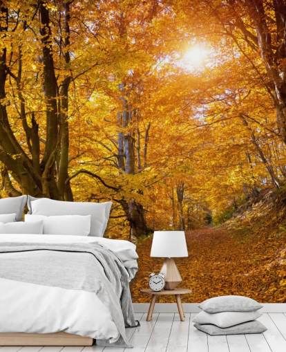 Hojas de otoño en los árboles