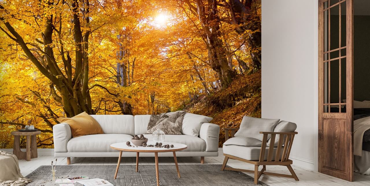 Autumn Leaves on Trees Wallpaper Mural | Wallsauce US