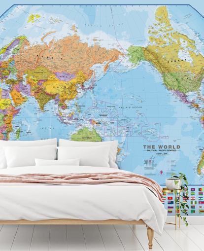 Carte du monde et drapeaux