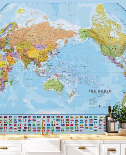 Carte du monde et drapeaux