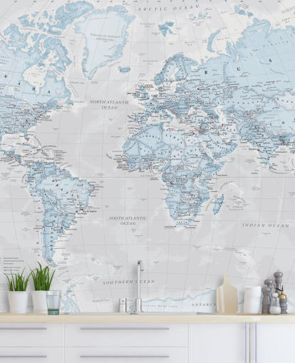 Light Blue Political World Map Mural