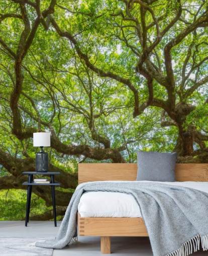 Angel Oak Tree Panoramic Wallpaper Mural