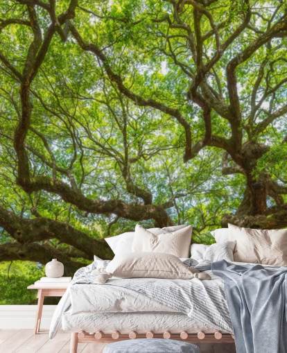 Angel Oak Tree Panoramic Wallpaper Mural