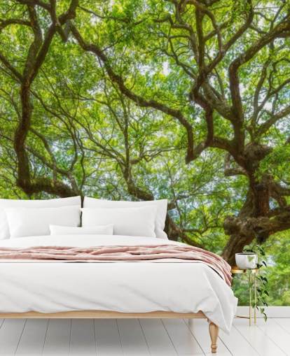 Ängel ek träd Panorama Bakgrund Väggmålning