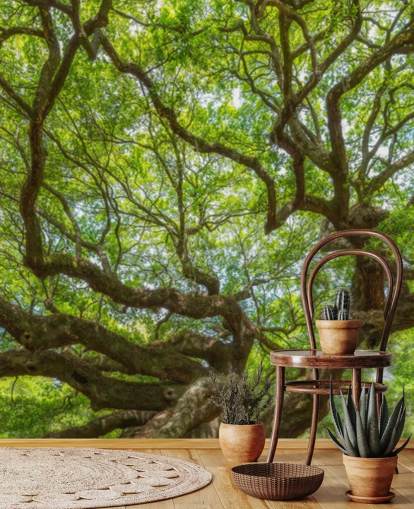Angel Oak Tree Panoramic Wallpaper Mural