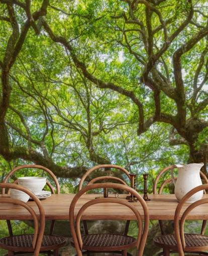 Angel Oak Tree Panoramic Wallpaper Mural