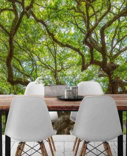 Angel Oak Tree Panoramic Wallpaper Mural