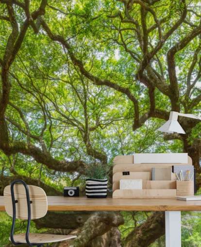 Ängel ek träd Panorama Bakgrund Väggmålning