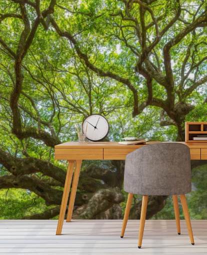 Angel Oak Tree Panoramic Wallpaper Mural