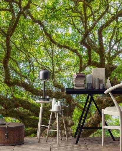 Angel Oak Tree Panoramic Wallpaper Mural