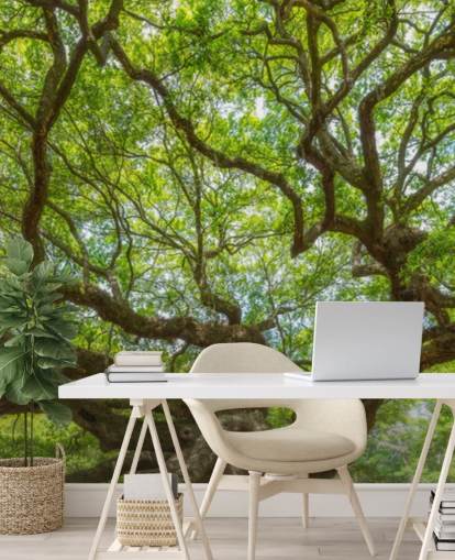 Angel Oak Tree Panoramic Wallpaper Mural
