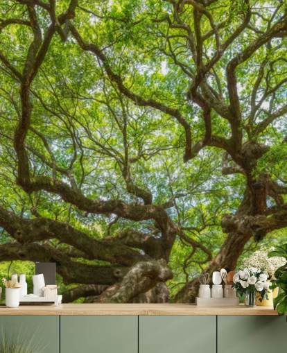 Angel Oak Tree Panoramisch Behang Muurschildering