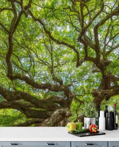 Carta da parati murale panoramica con albero di quercia