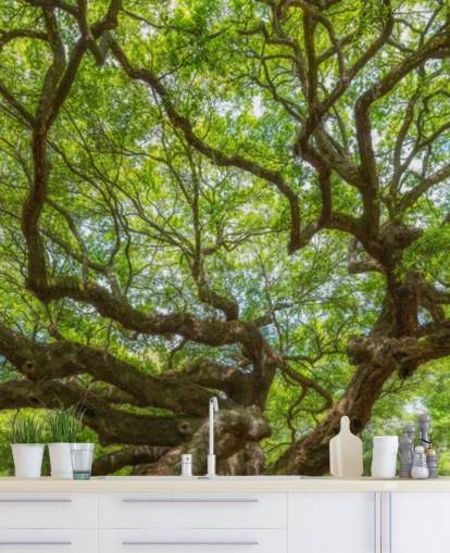 Papel de parede panorâmico Angel Oak Tree