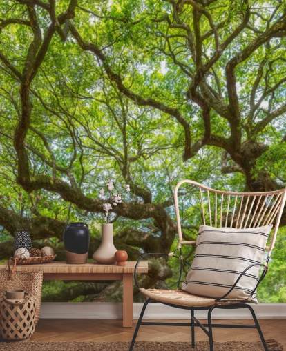 Carta da parati murale panoramica con albero di quercia