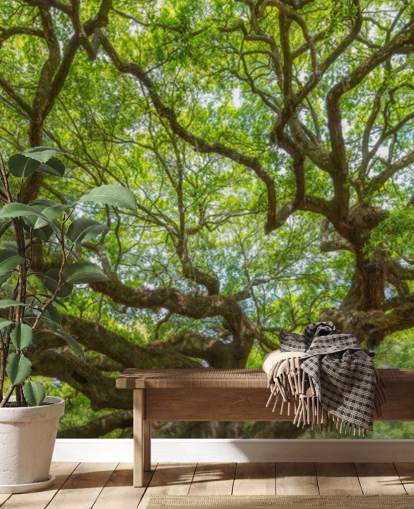 Angel Oak Tree Panoramisch Behang Muurschildering