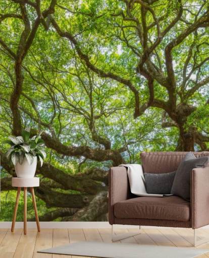 Angel Oak Tree Panoramic Wallpaper Mural