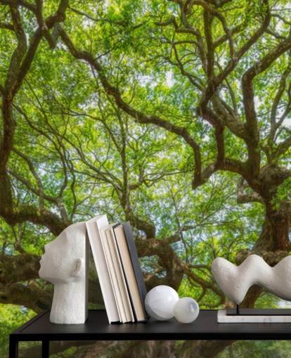 Angel Eik Tre Panoramic Bakgrunn Mural