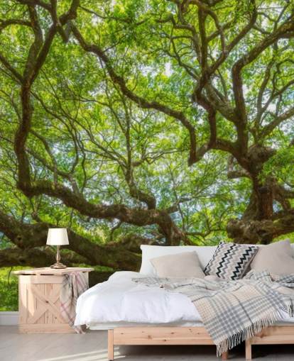 Angel Oak Tree Panoramisch Behang Muurschildering