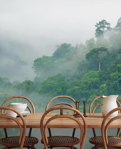 misty trees in rainforest wallpaper misty trees in rainforest wallpaper