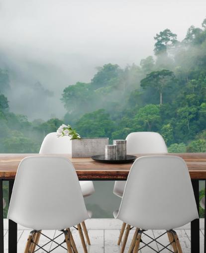 misty trees in rainforest wallpaper misty trees in rainforest wallpaper