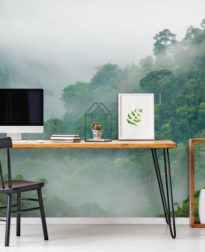 misty trees in rainforest wallpaper