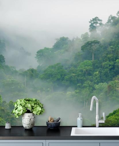 Papel pintado de árboles brumosos en la selva