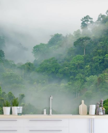 fond d'écran arbres brumeux dans la forêt tropicale