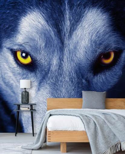 Close Up of Wolfs Face Yellow Eyes and Blue Fur Wallpaper