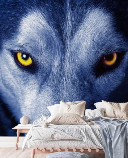 Close Up of Wolfs Face Yellow Eyes and Blue Fur Wallpaper