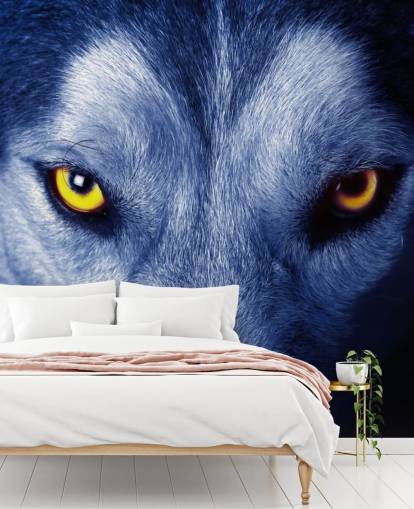Close Up of Wolfs Face Yellow Eyes and Blue Fur Wallpaper