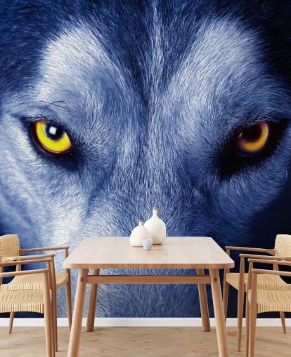 close-up van Wolfs gezicht gele ogen en blauw bont behang close-up van Wolfs gezicht gele ogen en blauw bont behang
