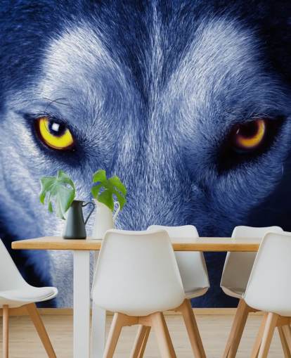 Primer plano de la cara de lobos ojos amarillos y papel tapiz de piel azul