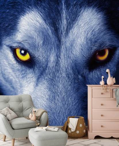 Close Up of Wolfs Face Yellow Eyes and Blue Fur Wallpaper