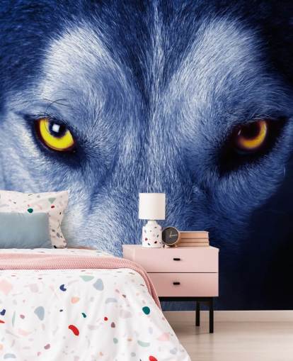 Close Up of Wolfs Face Yellow Eyes and Blue Fur Wallpaper Close Up of Wolfs Face Yellow Eyes and Blue Fur Wallpaper