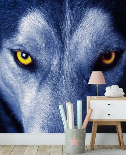 Close Up of Wolfs Face Yellow Eyes and Blue Fur Wallpaper