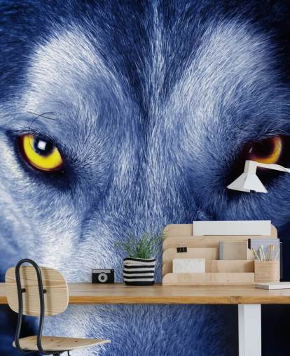Close Up of Wolfs Face Yellow Eyes and Blue Fur Wallpaper